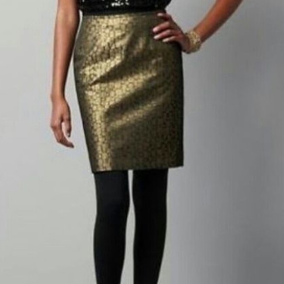 Ann Taylor Loft party skirt - Picture 1 of 7